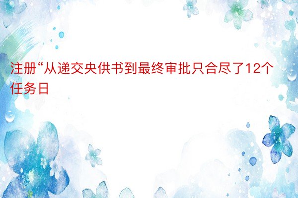 注册“从递交央供书到最终审批只合尽了12个任务日