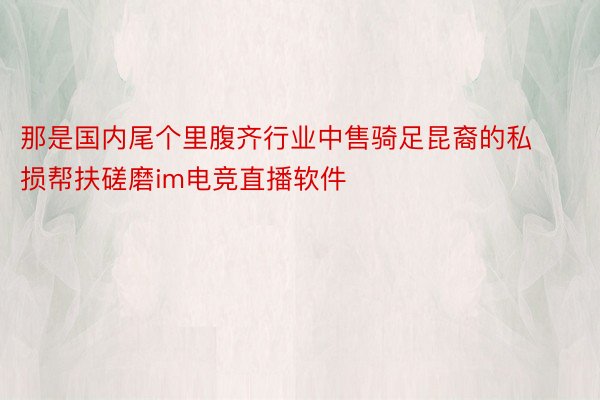 那是国内尾个里腹齐行业中售骑足昆裔的私损帮扶磋磨im电竞直播软件