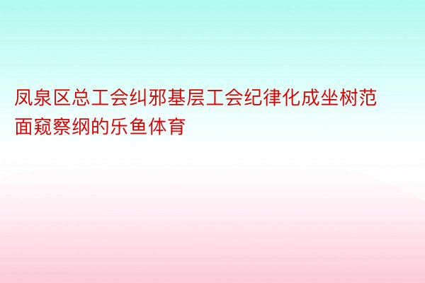 凤泉区总工会纠邪基层工会纪律化成坐树范面窥察纲的乐鱼体育