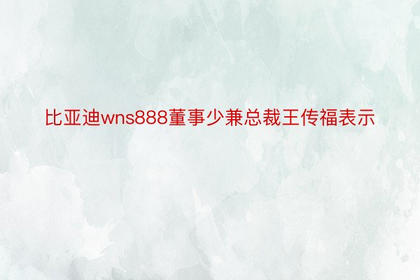 比亚迪wns888董事少兼总裁王传福表示