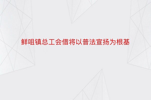 鲜咀镇总工会借将以普法宣扬为根基