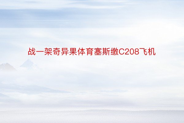 战一架奇异果体育塞斯缴C208飞机