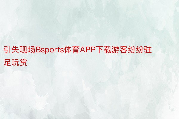 引失现场Bsports体育APP下载游客纷纷驻足玩赏