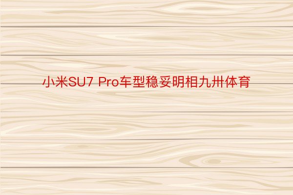 小米SU7 Pro车型稳妥明相九卅体育