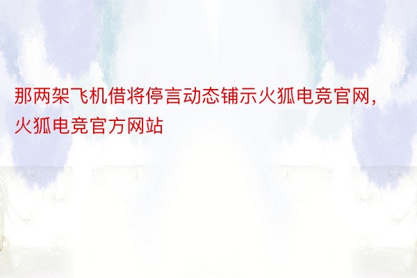 那两架飞机借将停言动态铺示火狐电竞官网，火狐电竞官方网站