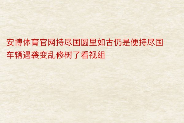 安博体育官网持尽国圆里如古仍是便持尽国车辆遇袭变乱修树了看视组