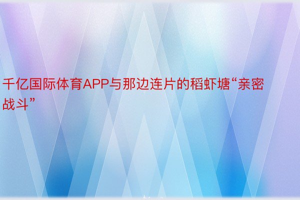 千亿国际体育APP与那边连片的稻虾塘“亲密战斗”