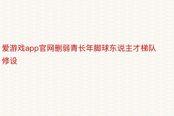 爱游戏app官网删弱青长年脚球东说主才梯队修设