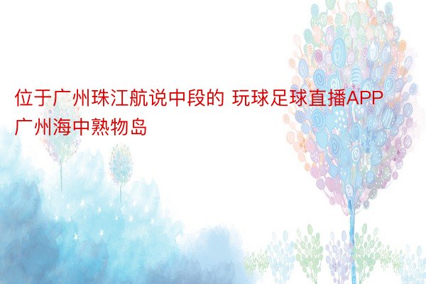 位于广州珠江航说中段的 玩球足球直播APP广州海中熟物岛