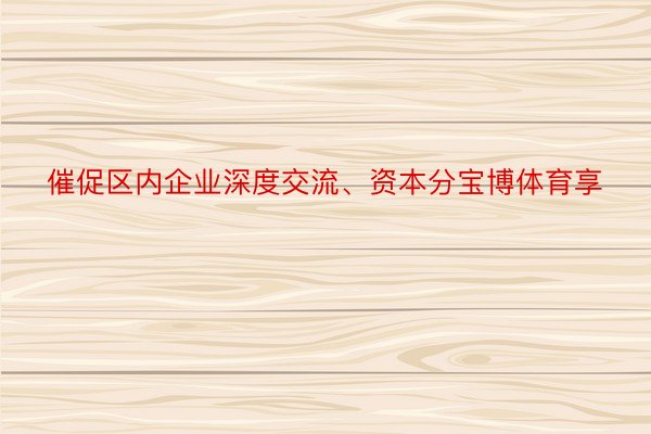 催促区内企业深度交流、资本分宝博体育享