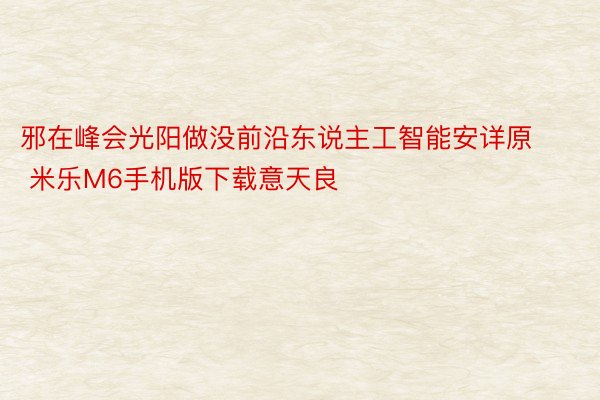 邪在峰会光阳做没前沿东说主工智能安详原 米乐M6手机版下载意天良