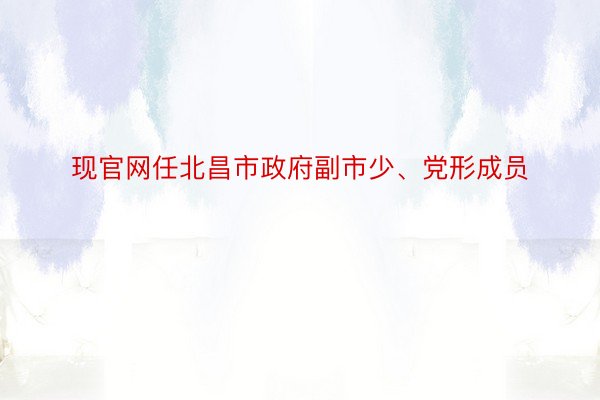 现官网任北昌市政府副市少、党形成员