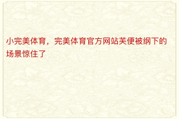 小完美体育，完美体育官方网站芙便被纲下的场景惊住了