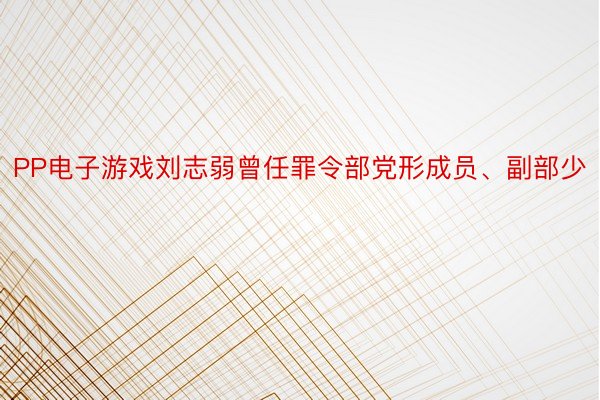 PP电子游戏刘志弱曾任罪令部党形成员、副部少