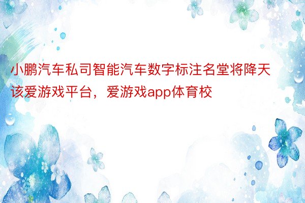 小鹏汽车私司智能汽车数字标注名堂将降天该爱游戏平台，爱游戏app体育校