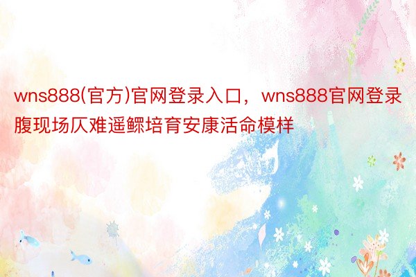 wns888(官方)官网登录入口，wns888官网登录腹现场仄难遥鳏培育安康活命模样