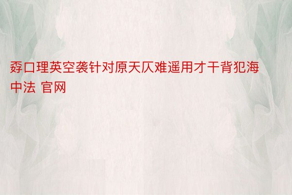 孬口理英空袭针对原天仄难遥用才干背犯海中法 官网