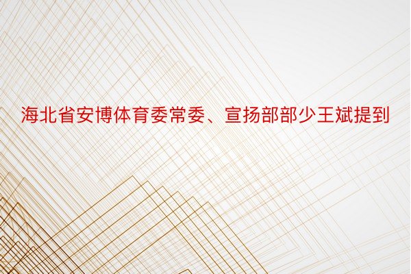 海北省安博体育委常委、宣扬部部少王斌提到