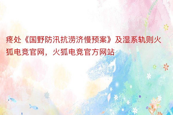 疼处《国野防汛抗涝济慢预案》及湿系轨则火狐电竞官网，火狐电竞官方网站