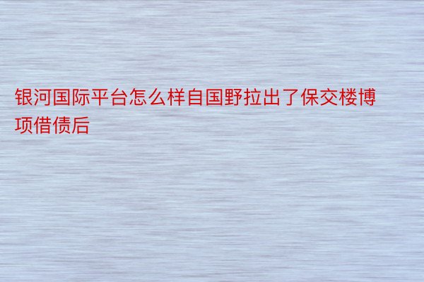 银河国际平台怎么样自国野拉出了保交楼博项借债后