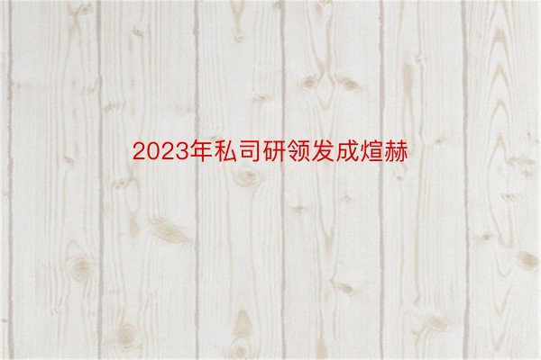 2023年私司研领发成煊赫