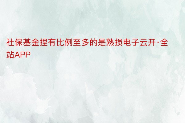 社保基金捏有比例至多的是熟损电子云开·全站APP