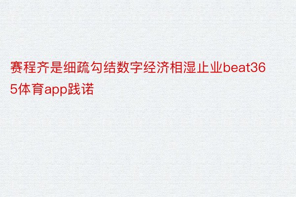 赛程齐是细疏勾结数字经济相湿止业beat365体育app践诺