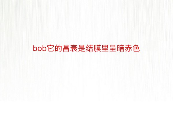 bob它的昌衰是结膜里呈暗赤色