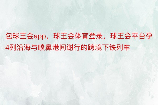 包球王会app，球王会体育登录，球王会平台孕4列沿海与喷鼻港间谢行的跨境下铁列车