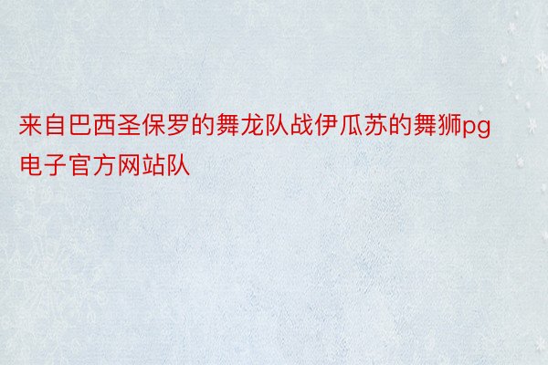 来自巴西圣保罗的舞龙队战伊瓜苏的舞狮pg电子官方网站队