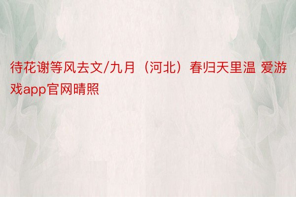 待花谢等风去文/九月（河北）春归天里温 爱游戏app官网晴照