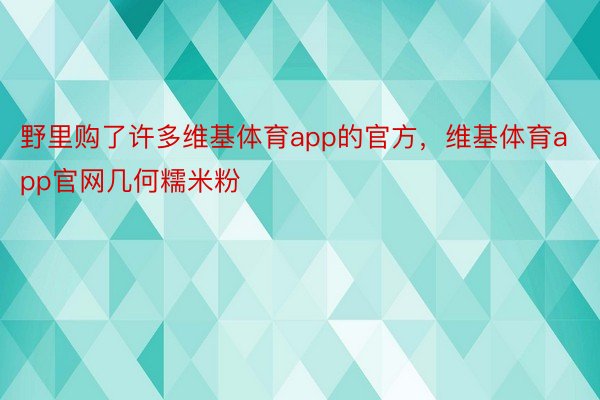 野里购了许多维基体育app的官方，维基体育app官网几何糯米粉