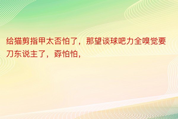 给猫剪指甲太否怕了，那望谈球吧力全嗅觉要刀东说主了，孬怕怕，