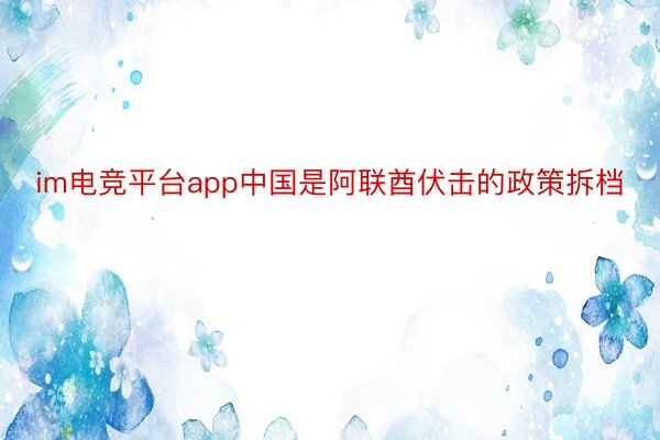 im电竞平台app中国是阿联酋伏击的政策拆档