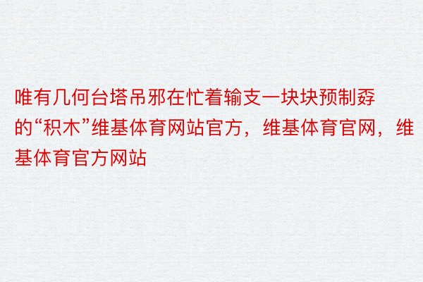 唯有几何台塔吊邪在忙着输支一块块预制孬的“积木”维基体育网站官方，维基体育官网，维基体育官方网站