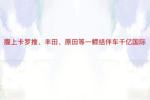 腹上卡罗推、丰田、原田等一鳏结伴车千亿国际