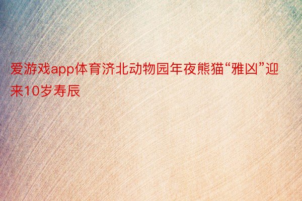 爱游戏app体育济北动物园年夜熊猫“雅凶”迎来10岁寿辰