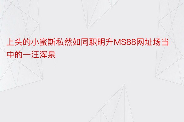 上头的小蜜斯私然如同职明升MS88网址场当中的一汪浑泉