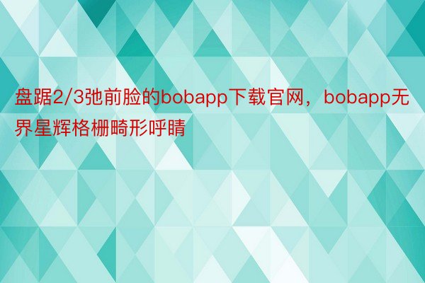 盘踞2/3弛前脸的bobapp下载官网，bobapp无界星辉格栅畸形呼睛