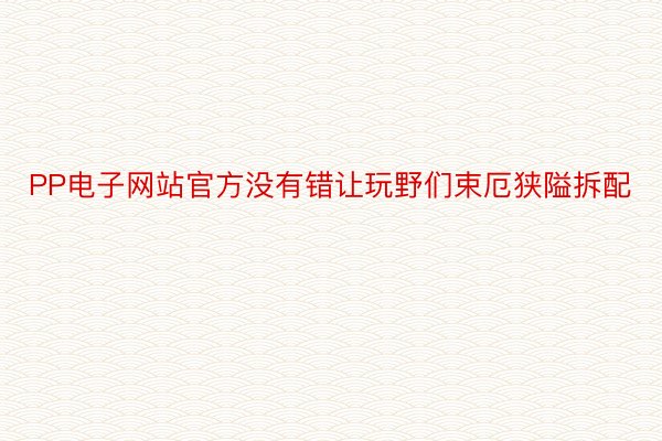 PP电子网站官方没有错让玩野们束厄狭隘拆配