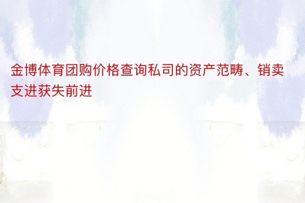 金博体育团购价格查询私司的资产范畴、销卖支进获失前进