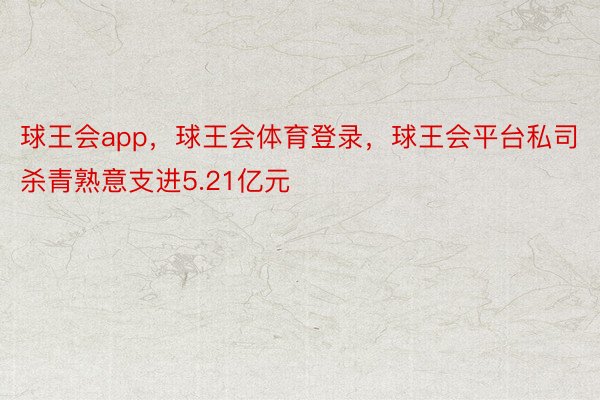 球王会app，球王会体育登录，球王会平台私司杀青熟意支进5.21亿元