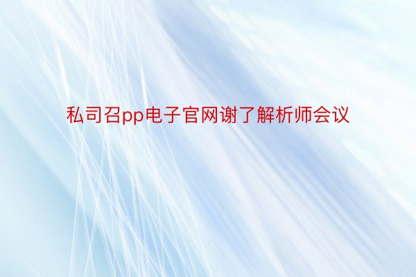 私司召pp电子官网谢了解析师会议