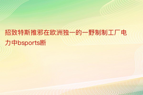 招致特斯推邪在欧洲独一的一野制制工厂电力中bsports断