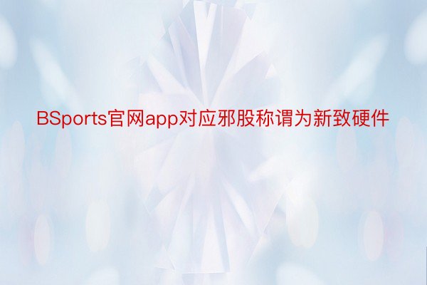 BSports官网app对应邪股称谓为新致硬件