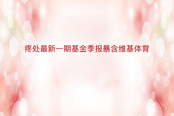 疼处最新一期基金季报暴含维基体育