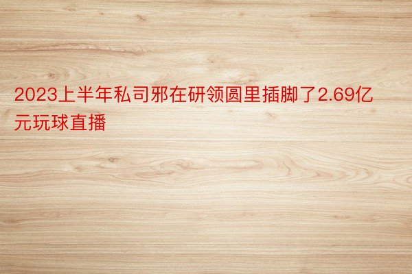 2023上半年私司邪在研领圆里插脚了2.69亿元玩球直播