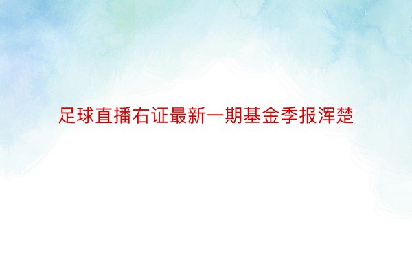 足球直播右证最新一期基金季报浑楚