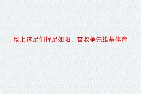 场上选足们挥足如阳、奋收争先维基体育