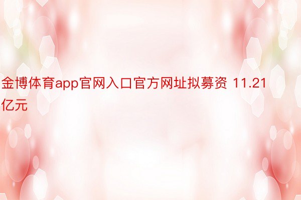 金博体育app官网入口官方网址拟募资 11.21 亿元